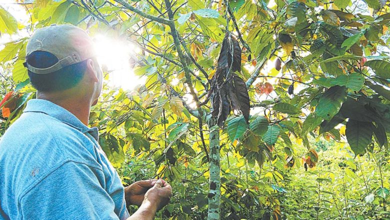 Naturaleza ‘blindada’: Nace una nueva área protegida en Alto Beni