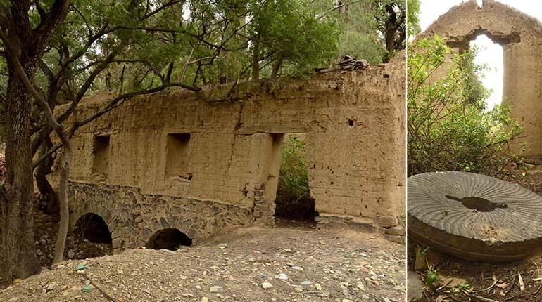 Tradición y naturaleza Molino y árboles sobreviven al tiempo en La Angostura,  Cochabamba