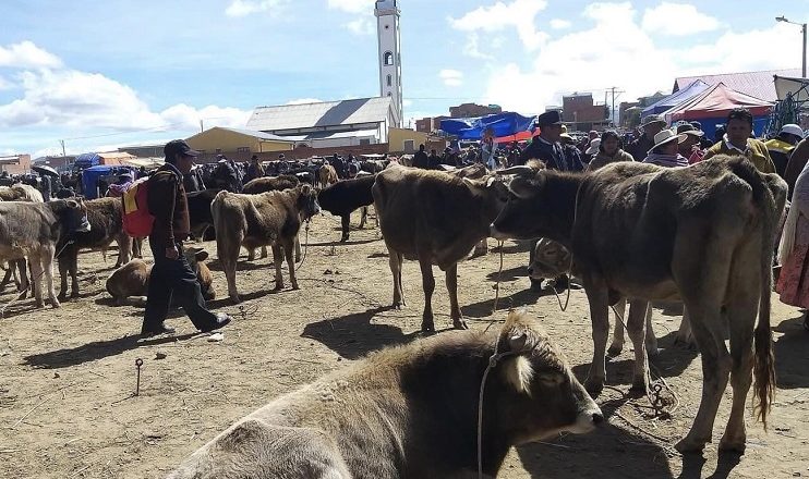 Feria de Ramos de El Alto, el alegre encuentro del mundo urbano y rural