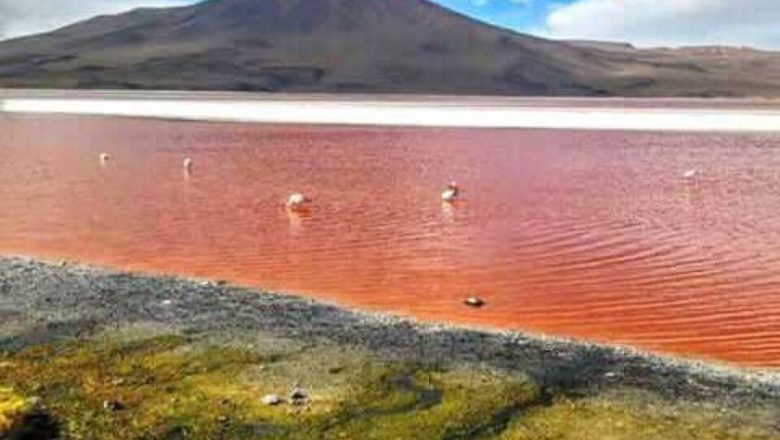 Pese al gélido clima, los turistas siguen llegando a Potosí