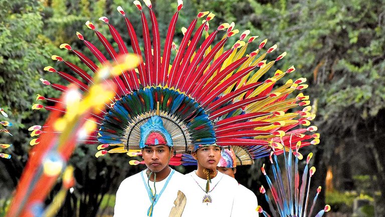 Tradición sin extinción: los macheteros perviven a través del reciclaje de las plumas