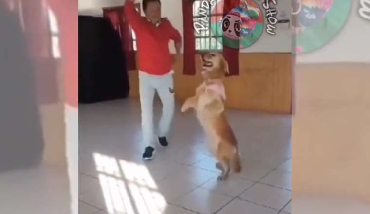 Perro y amo bailan cueca y enternecen las redes sociales