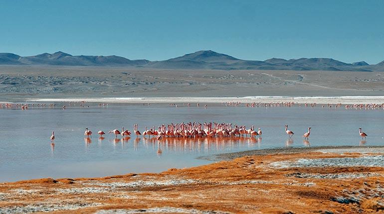 Salar de Uyuni. Un viaje mágico a la tierra de sal