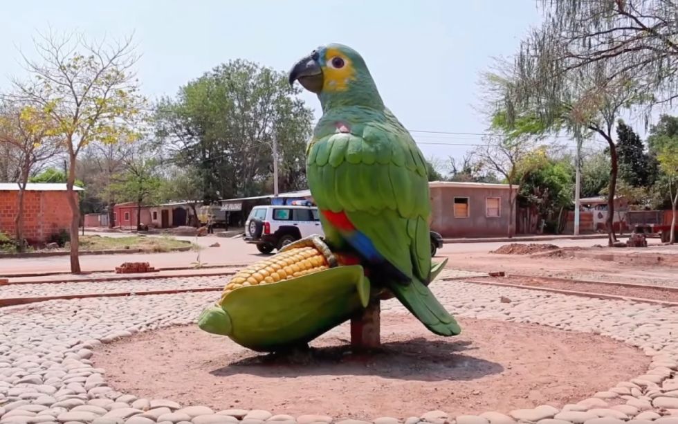 El primer santuario para aves estará en Villa Montes